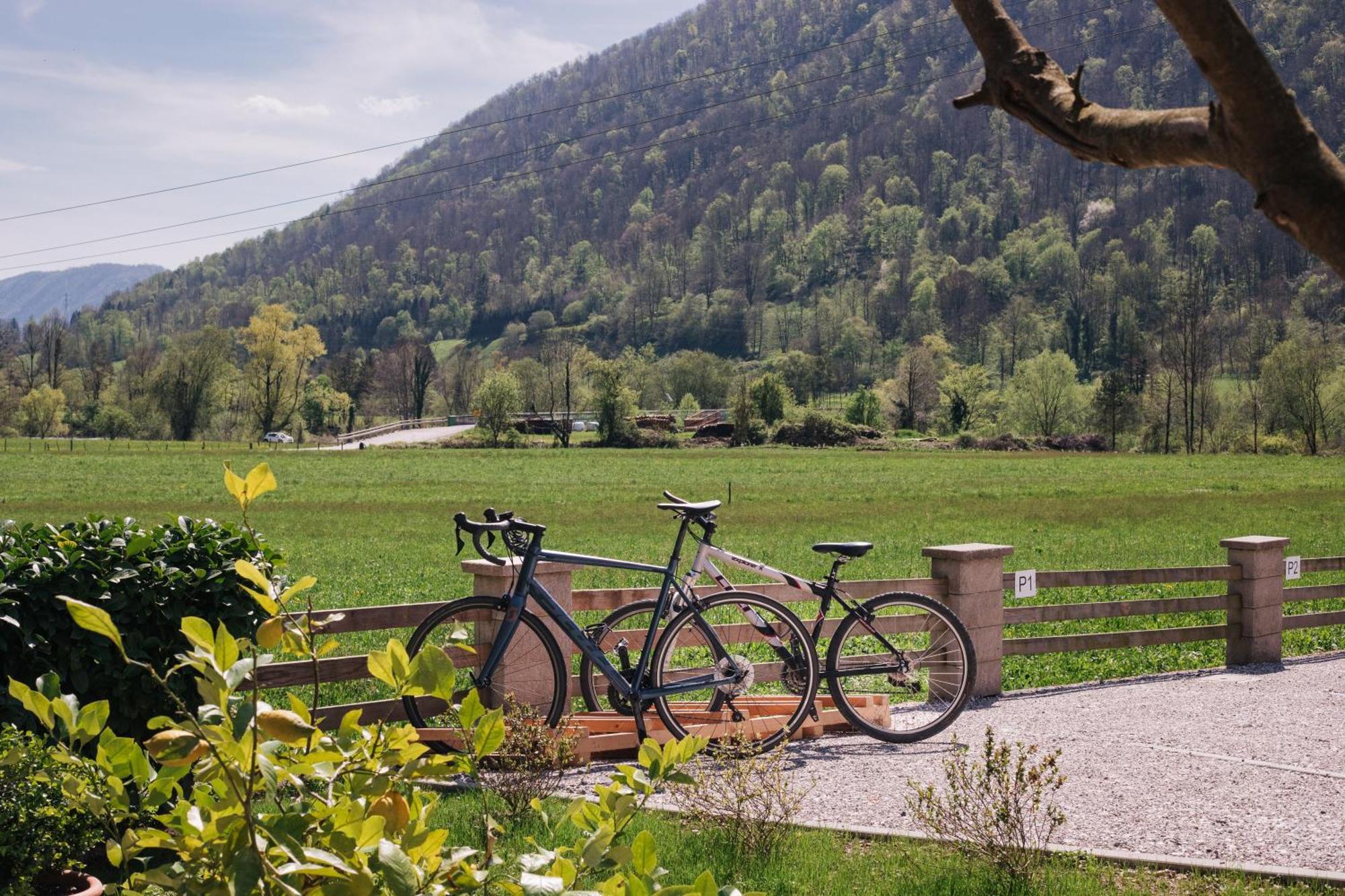 House Blazar Tolmin