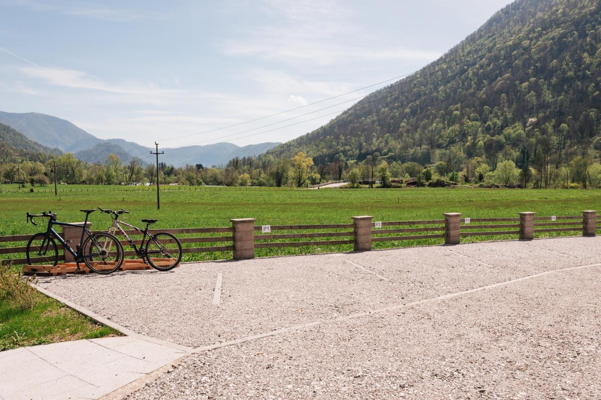 House Blazar * Tolmin