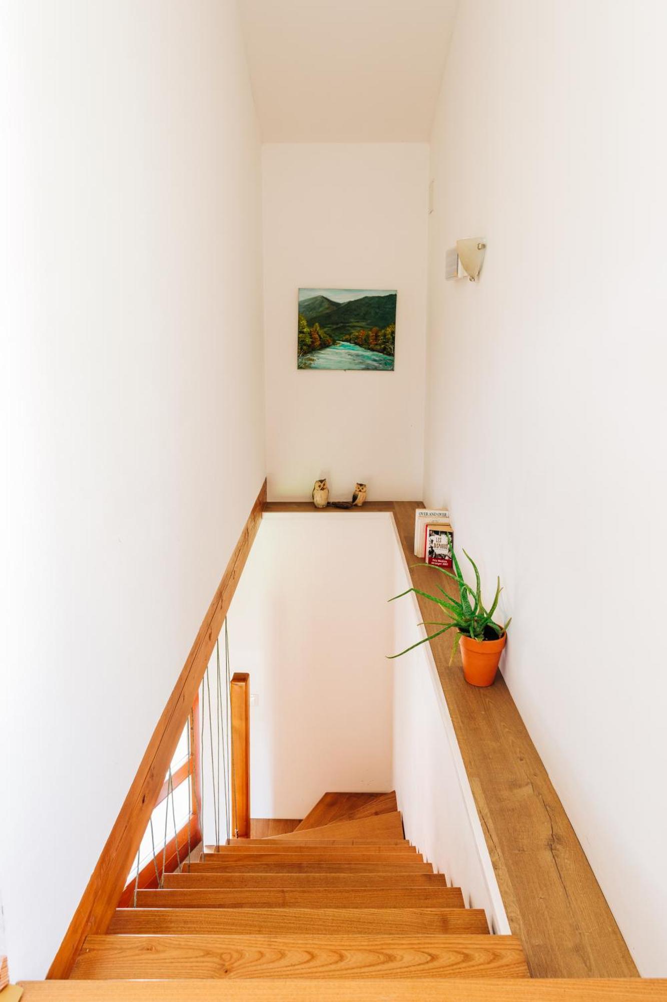House Blazar * Tolmin